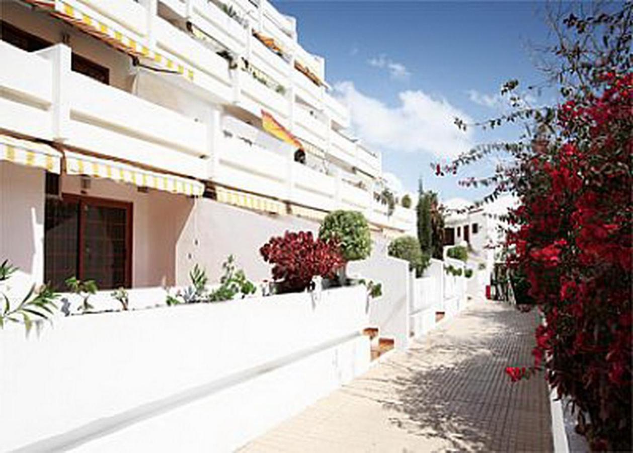Nice Apartment On Las Americas Beach Плая-де-лас-Америкас Экстерьер фото